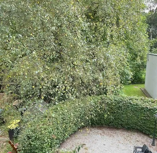 Im Schildescher Ortskern Lägenhet *